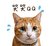 839057485