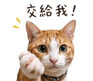 839057489