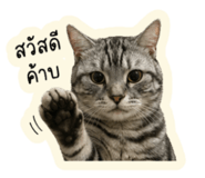 839059729