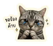 839059733
