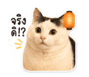 839059940