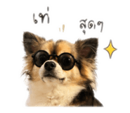 839060370