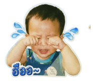 839060393