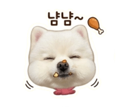 839060680