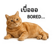 839062070