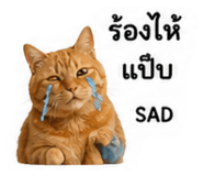 839062072