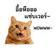 839062090