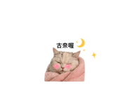 839066004