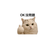 839066007