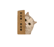 839066008