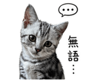 839066444