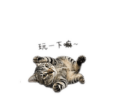 839067173