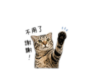 839067191