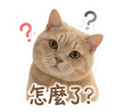 839067765