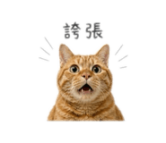 839068071