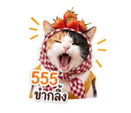 839071446