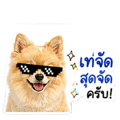 839071474