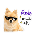839071493