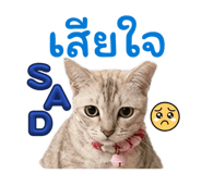 839071895