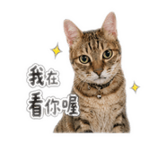 839072945