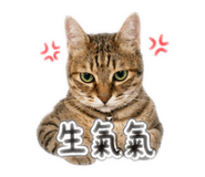 839072951