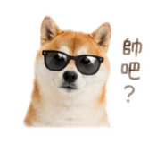 839074575