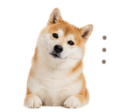 839074578