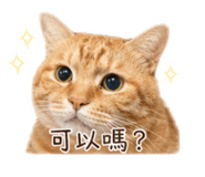 839074614