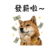 839074866