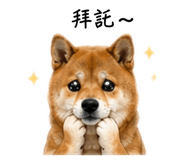 839074881