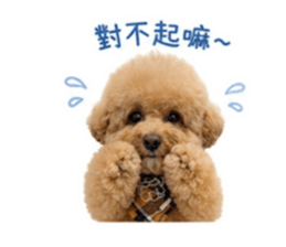 839075248