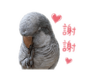 839075556