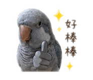 839075567