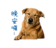839075675