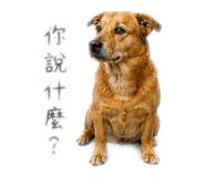 839075687