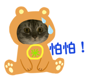 839075789