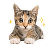 839075837
