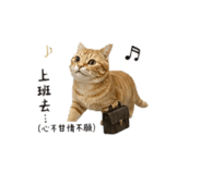839078923