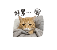 839078928
