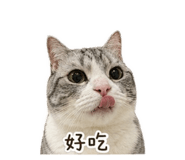 839079313
