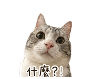 839079323