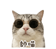 839079325
