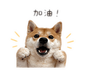 839079843