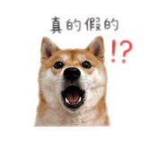 839079846