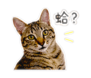 839079862