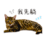 839079866