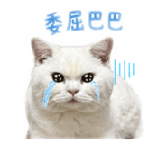 839080268