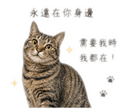 839080688