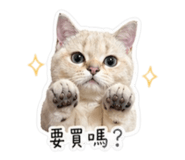 839080962