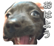 839081274